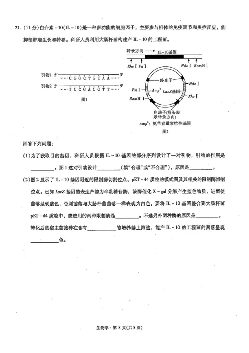 云南省昆明市第一中学2025-2026学年高三上学期第三次联考生物试卷（含答案）_251101云南省昆明市第一中学2025-2026学年高三上学期第三次联考（全科）