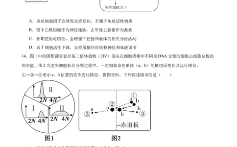 广东省执信中学、汕头市金山中学、深圳外国语学校2026届高三上学期联合调研考试生物Word版含答案