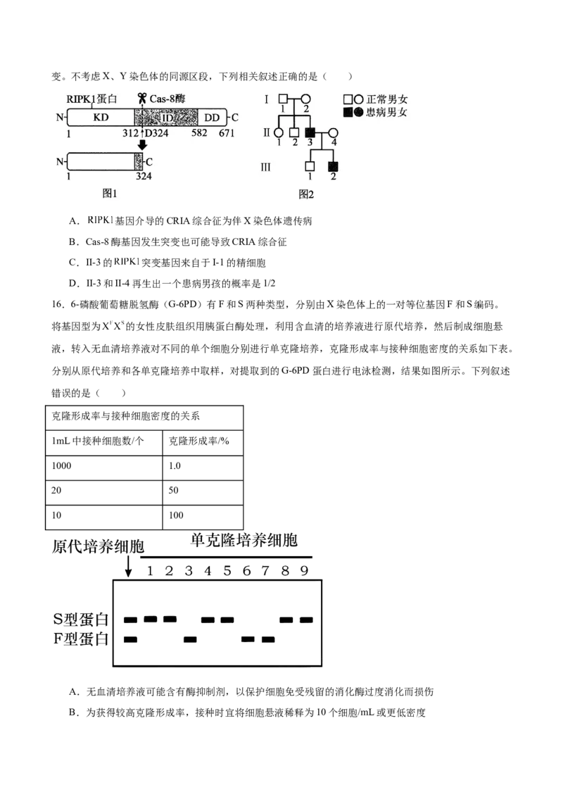 广东省执信中学、汕头市金山中学、深圳外国语学校2026届高三上学期联合调研考试生物Word版含答案