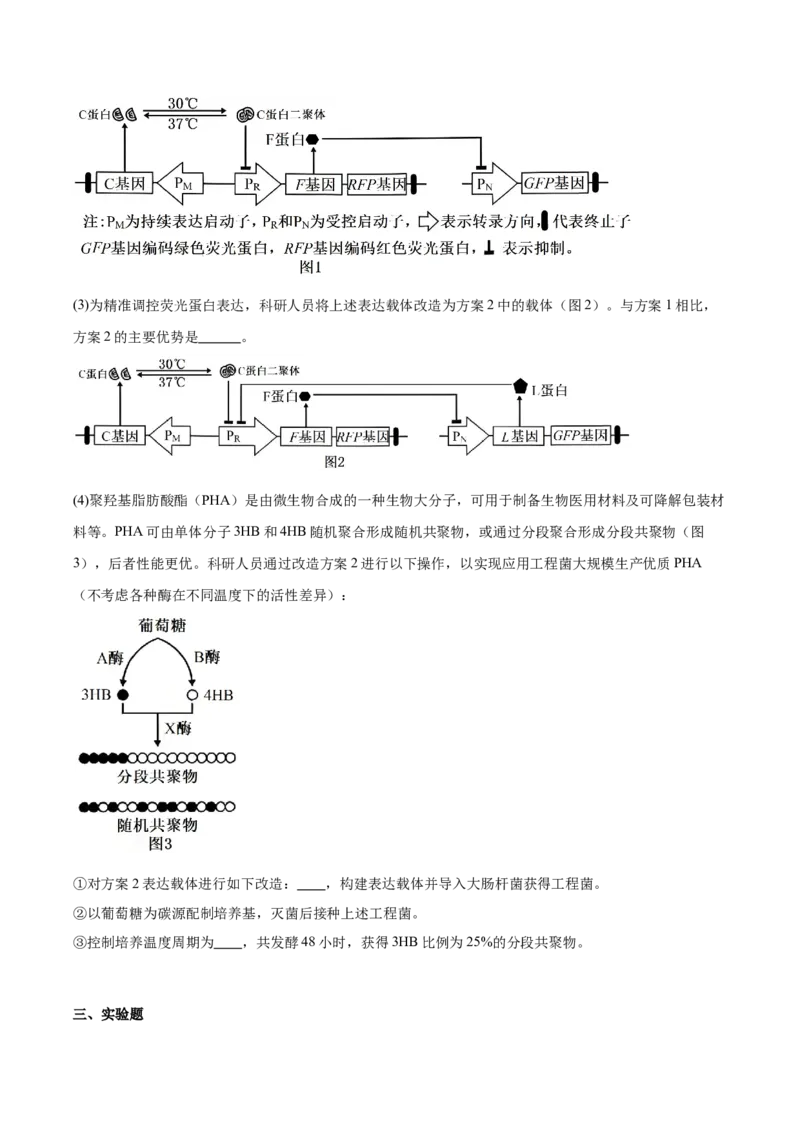 广东省执信中学、汕头市金山中学、深圳外国语学校2026届高三上学期联合调研考试生物Word版含答案