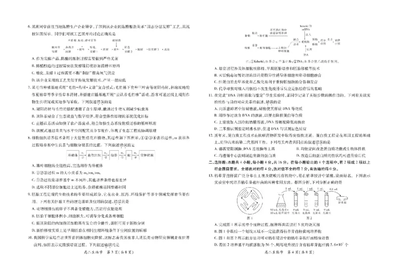 江西省上进联考2024-2025学年高二下学期6月期末生物试卷（含答案）_2025年7月_250706江西省上进联考2024-2025学年高二下学期6月期末考试（全科）