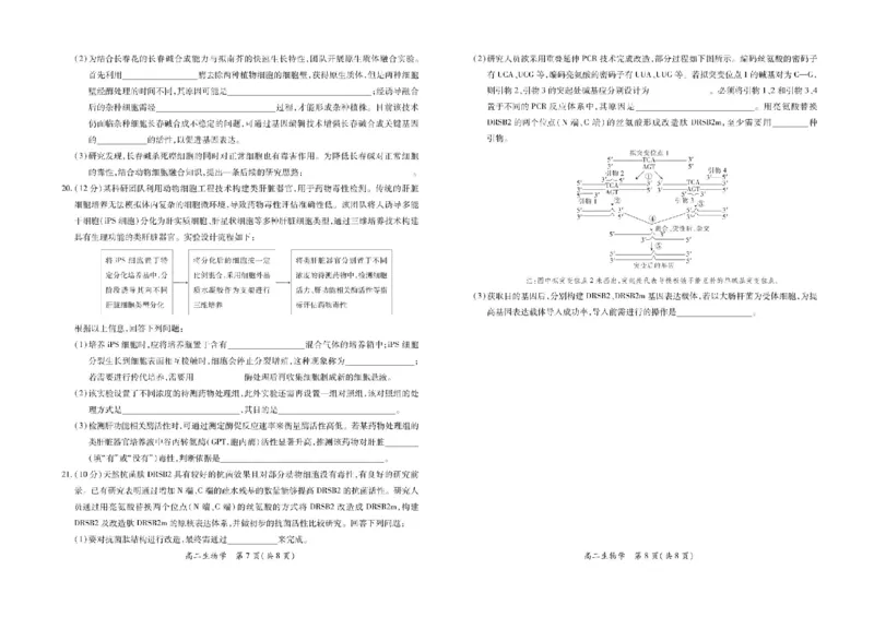 江西省上进联考2024-2025学年高二下学期6月期末生物试卷（含答案）_2025年7月_250706江西省上进联考2024-2025学年高二下学期6月期末考试（全科）