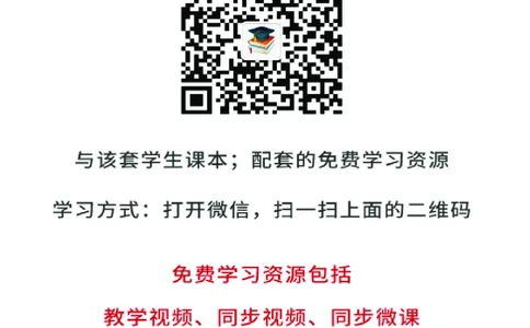 岭南版7年级美术下册高清教材_4-教培资料-26年最新资料-同步更新_初中高中教资_03科三专项（进去保存报考的学科即可）_02科三专项（笔记真题思维导图教学设计版本二）