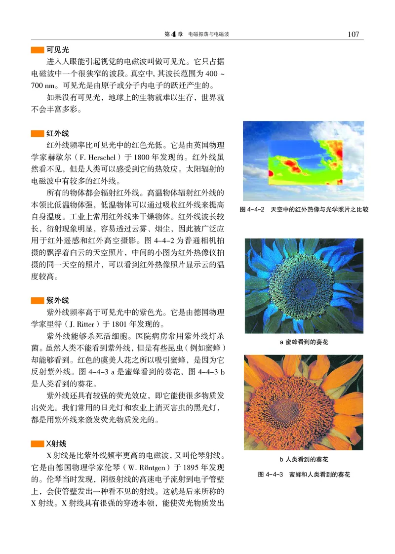 沪科教物理选修第二册高清教材_4-教培资料-26年最新资料-同步更新_初中高中教资_03科三专项（进去保存报考的学科即可）_02科三专项（笔记真题思维导图教学设计版本二）