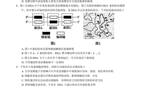 江西省景德镇市2026届高三第一次质量检测生物试卷（含答案）_251122江西省景德镇市2026届高三第一次质量检测（全科）