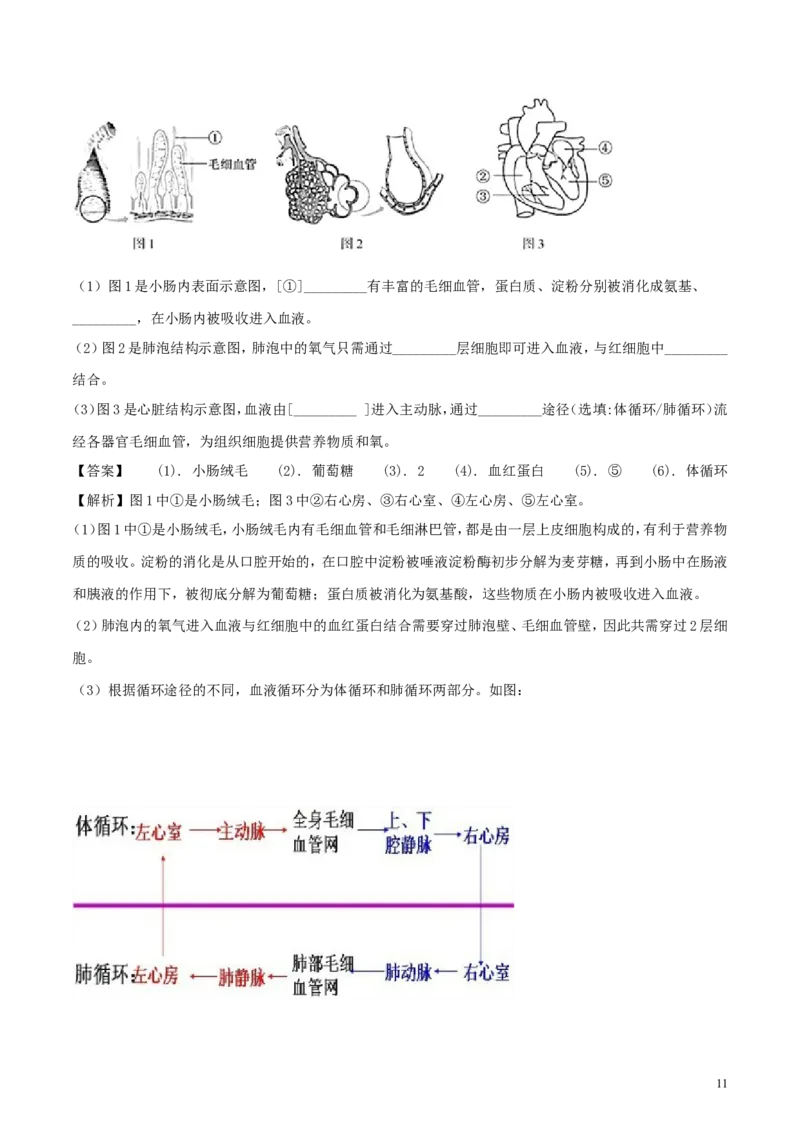 福建省2018年中考生物真题试题（含解析）_中考真题_8.生物中考真题2015-2024年_2018年全国中考生物141份
