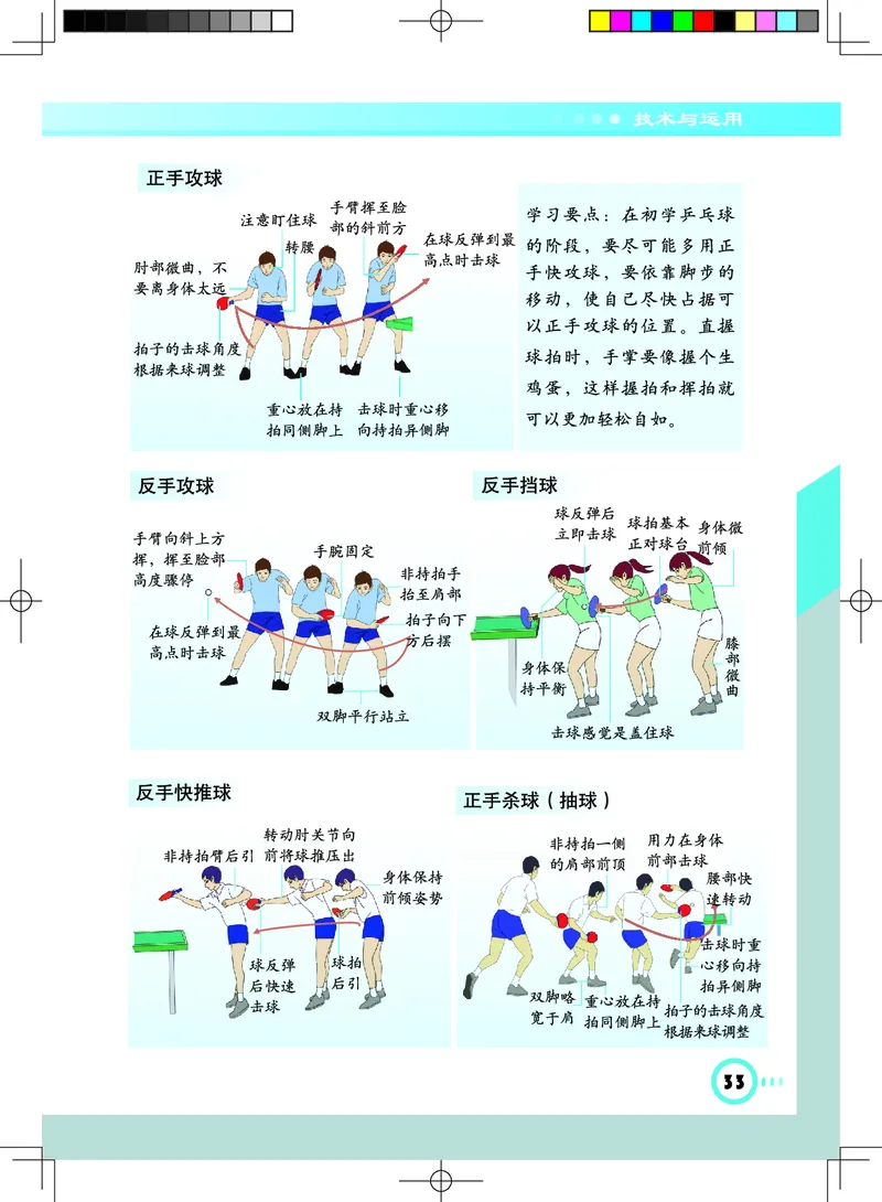 教科版7年级体育全一册高清教材_4-教培资料-26年最新资料-同步更新_初中高中教资_03科三专项（进去保存报考的学科即可）_02科三专项（笔记真题思维导图教学设计版本二）