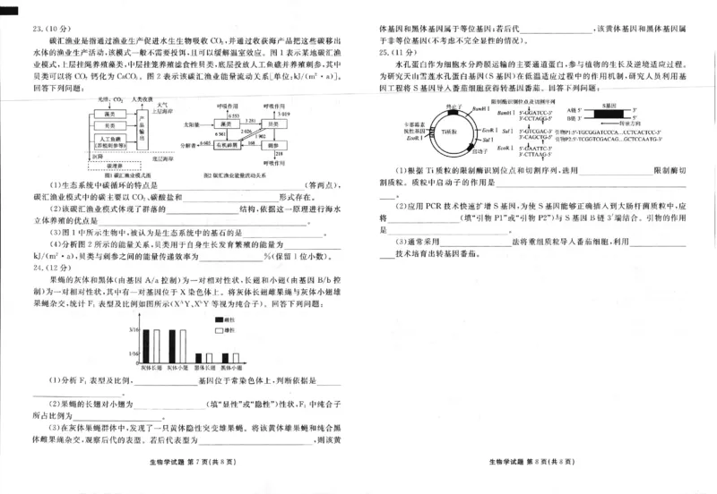 2025年春季学期高二年级学业水平检测试卷生物_2025年7月_250717云南省衡水金卷2025年春季学期高二年级学业水平检测试卷（全科）