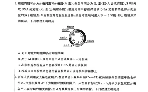 河南省青桐鸣大联考2025&mdash;2026学年高三上学期11月联考生物试卷_12026年试卷教辅资源等多个文件_251117青桐鸣大联考2025-2026学年高三上学期11月月考