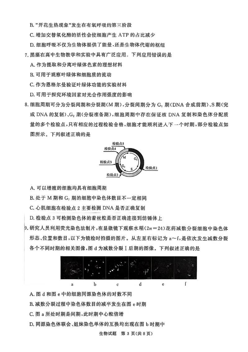 河南省青桐鸣大联考2025&mdash;2026学年高三上学期11月联考生物试卷_12026年试卷教辅资源等多个文件_251117青桐鸣大联考2025-2026学年高三上学期11月月考