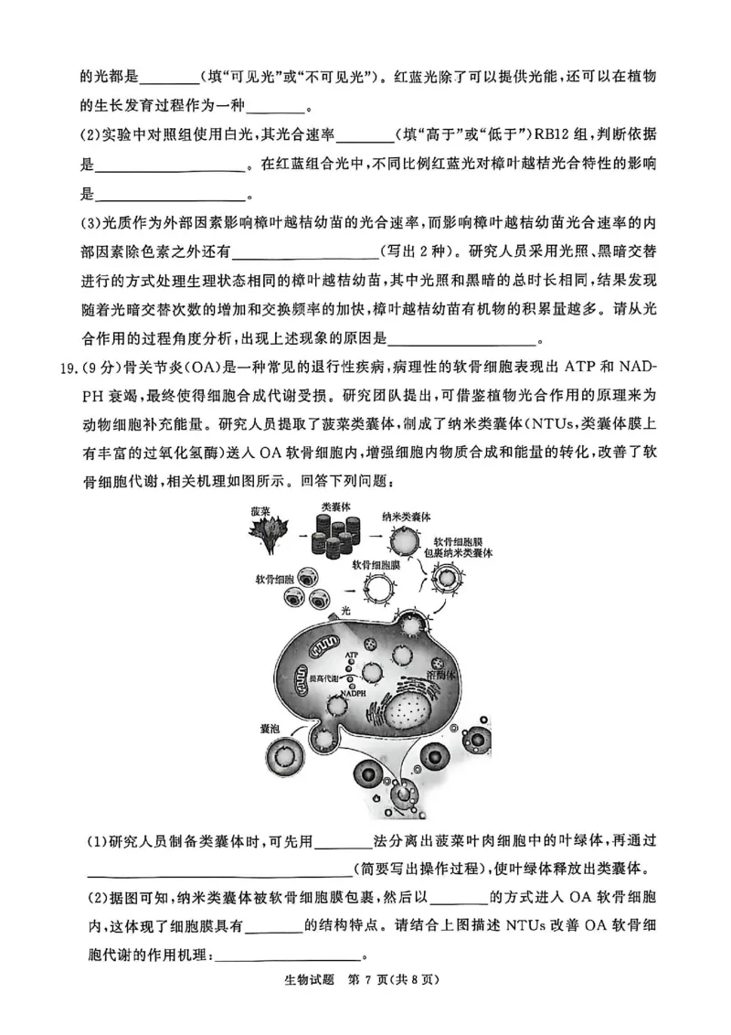 河南省青桐鸣大联考2025&mdash;2026学年高三上学期11月联考生物试卷_12026年试卷教辅资源等多个文件_251117青桐鸣大联考2025-2026学年高三上学期11月月考