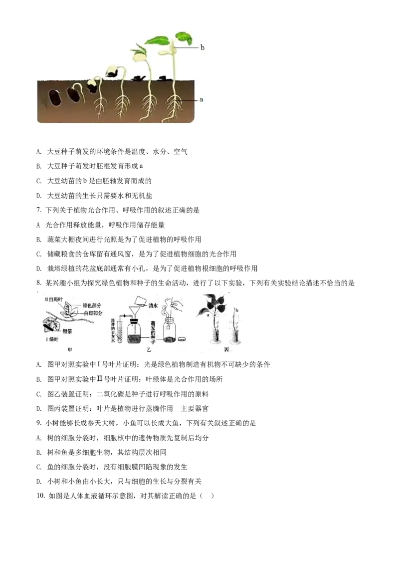 精品解析：2022年内蒙古赤峰市中考生物真题（原卷版）_中考真题_8.生物中考真题2015-2024年_2022年全国中考生物114份14