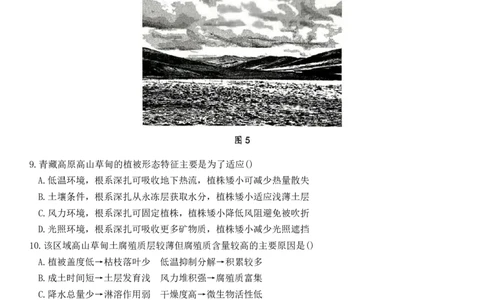 山东省高考质量测评联盟大联考2025-2026学年高三上学期12月联考地理试题_2025年12月_251223山东高考质量测评联盟大联考&middot;高三12月联考（全科）