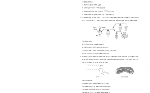 圆创联盟11月联考化学试卷_251113湖北圆创联盟2026届高三11月联考阶段训练（全科）_湖北圆创联盟2026届高三11月联考阶段训练化学