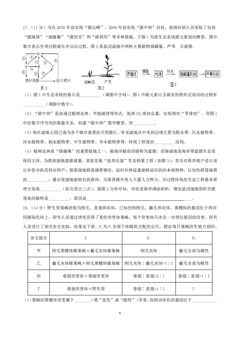 三明一中2023-2024学年上学期12月月考高三生物试卷_2024届福建省三明第一中学高三上学期12月月考（二）_福建省三明第一中学2024届高三上学期12月月考（二）生物