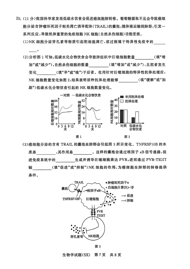 T8生物试题_2025年12月_251225山西省2026届高三第一次八省联考（T8联考）（全科）