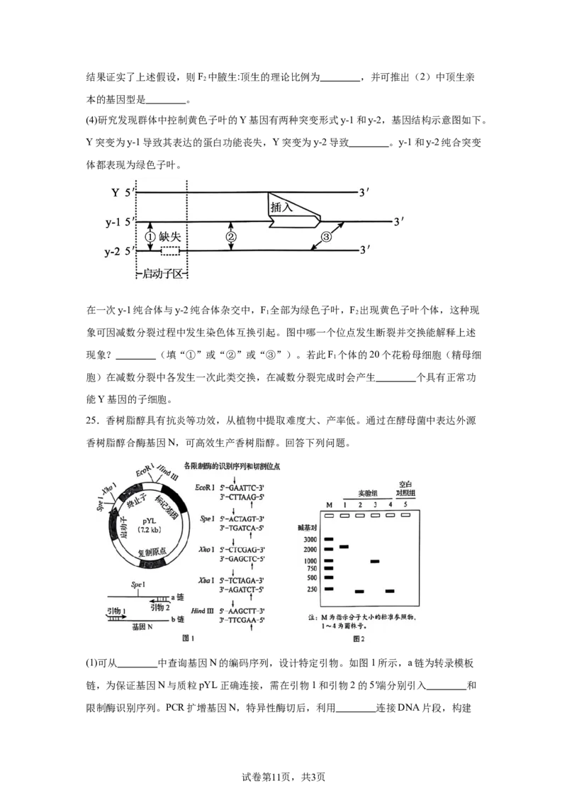 黑、吉、辽、内蒙辽宁、黑龙江、吉林、内蒙古_1.高考2025全国各省真题+答案_9.高考生物真题答案更新中