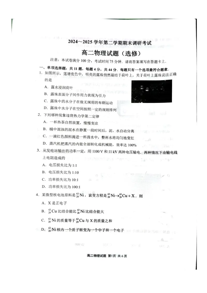江苏省连云港市2024-2025学年高二下学期期末调研考试物理试题（含答案）_2025年6月_250627江苏省连云港市2024-2025学年高二下学期期末调研考试（全科）