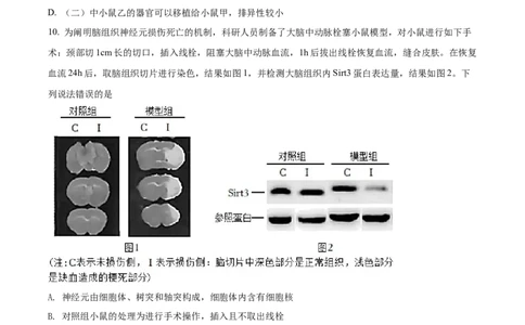 精品解析：2022年内蒙古呼和浩特市中考生物真题（原卷版）_中考真题_8.生物中考真题2015-2024年_2022年全国中考生物114份14