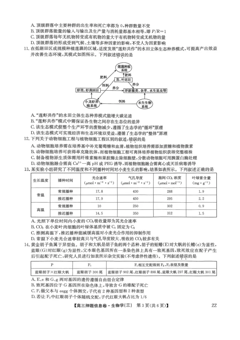 2024-2025学年高三下学期5月押题信息卷（三）生物试卷+答案_2025年6月_250602九师联盟2025届高三押题信息卷（三）（全科）