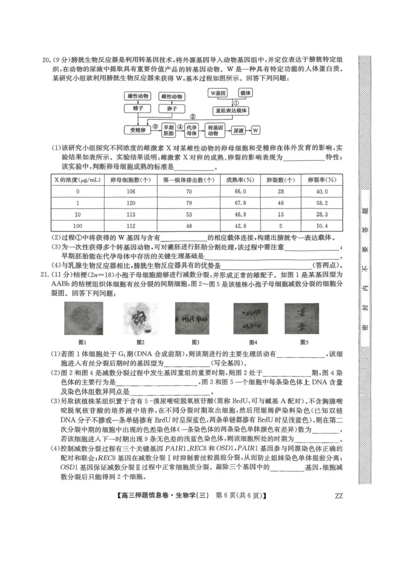 2024-2025学年高三下学期5月押题信息卷（三）生物试卷+答案_2025年6月_250602九师联盟2025届高三押题信息卷（三）（全科）