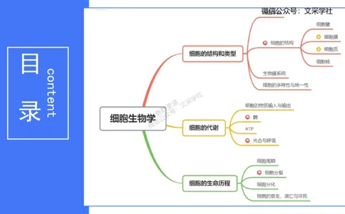 理论精讲04-细胞生物学1-拾光_4-教培资料-26年最新资料-同步更新_初中高中教资_03科三专项（进去保存报考的学科即可）_01科目三FB网课、三色速记手册、知识点导图等推荐_初中