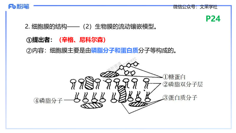 理论精讲04-细胞生物学1-拾光_4-教培资料-26年最新资料-同步更新_初中高中教资_03科三专项（进去保存报考的学科即可）_01科目三FB网课、三色速记手册、知识点导图等推荐_初中