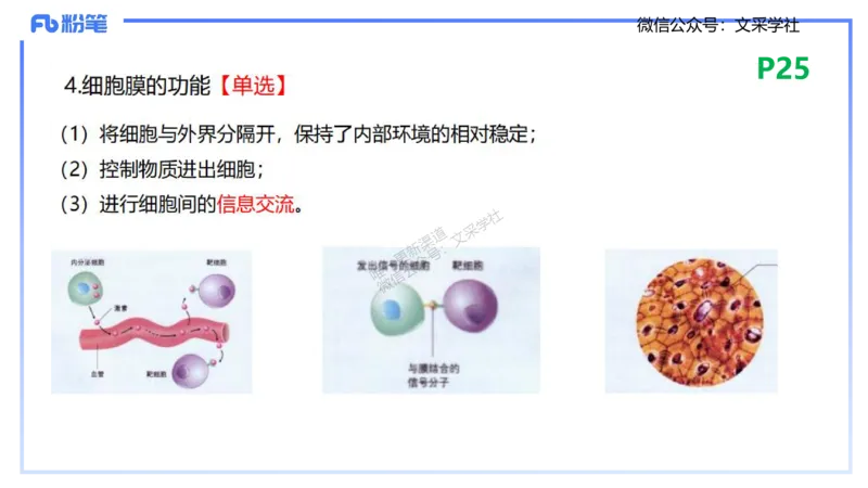 理论精讲04-细胞生物学1-拾光_4-教培资料-26年最新资料-同步更新_初中高中教资_03科三专项（进去保存报考的学科即可）_01科目三FB网课、三色速记手册、知识点导图等推荐_初中