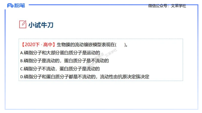 理论精讲04-细胞生物学1-拾光_4-教培资料-26年最新资料-同步更新_初中高中教资_03科三专项（进去保存报考的学科即可）_01科目三FB网课、三色速记手册、知识点导图等推荐_初中