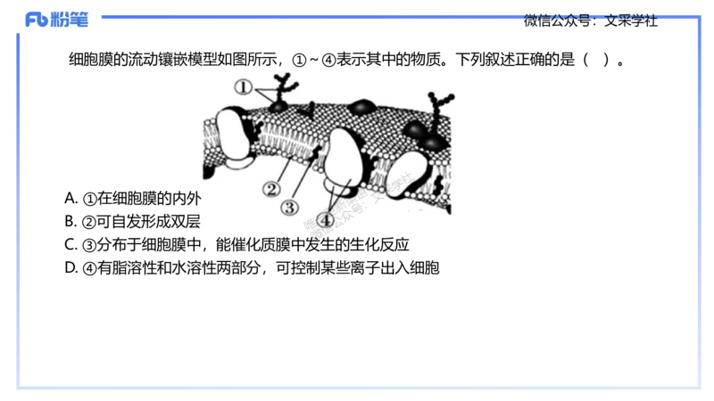 理论精讲04-细胞生物学1-拾光_4-教培资料-26年最新资料-同步更新_初中高中教资_03科三专项（进去保存报考的学科即可）_01科目三FB网课、三色速记手册、知识点导图等推荐_初中