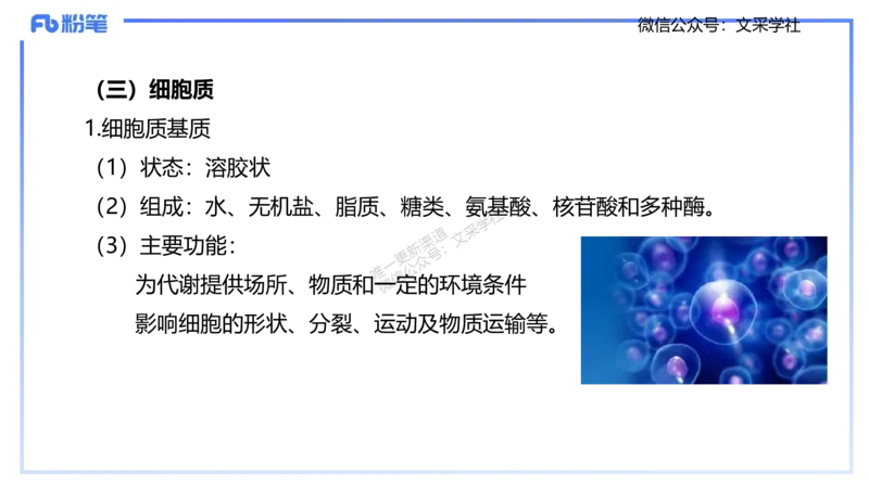 理论精讲04-细胞生物学1-拾光_4-教培资料-26年最新资料-同步更新_初中高中教资_03科三专项（进去保存报考的学科即可）_01科目三FB网课、三色速记手册、知识点导图等推荐_初中