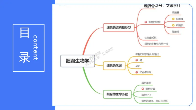 理论精讲04-细胞生物学1-拾光_4-教培资料-26年最新资料-同步更新_初中高中教资_03科三专项（进去保存报考的学科即可）_01科目三FB网课、三色速记手册、知识点导图等推荐_初中