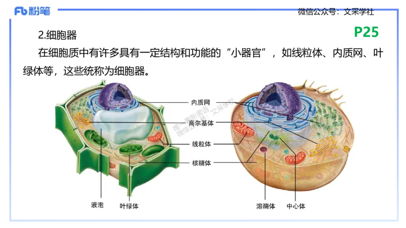 理论精讲04-细胞生物学1-拾光_4-教培资料-26年最新资料-同步更新_初中高中教资_03科三专项（进去保存报考的学科即可）_01科目三FB网课、三色速记手册、知识点导图等推荐_初中