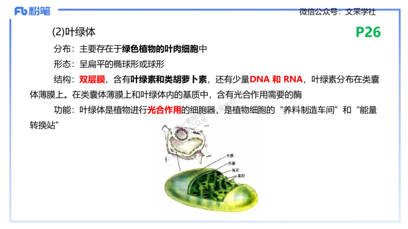 理论精讲04-细胞生物学1-拾光_4-教培资料-26年最新资料-同步更新_初中高中教资_03科三专项（进去保存报考的学科即可）_01科目三FB网课、三色速记手册、知识点导图等推荐_初中