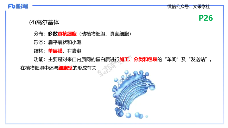 理论精讲04-细胞生物学1-拾光_4-教培资料-26年最新资料-同步更新_初中高中教资_03科三专项（进去保存报考的学科即可）_01科目三FB网课、三色速记手册、知识点导图等推荐_初中
