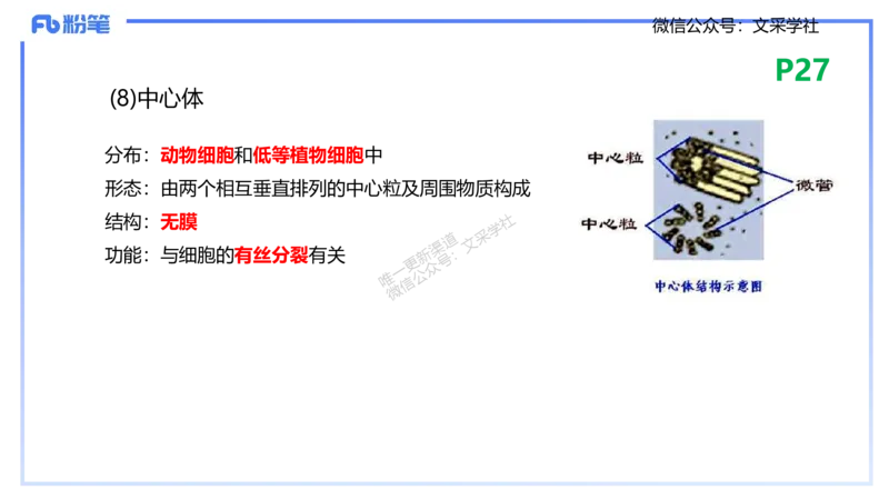 理论精讲04-细胞生物学1-拾光_4-教培资料-26年最新资料-同步更新_初中高中教资_03科三专项（进去保存报考的学科即可）_01科目三FB网课、三色速记手册、知识点导图等推荐_初中