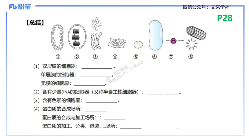 理论精讲04-细胞生物学1-拾光_4-教培资料-26年最新资料-同步更新_初中高中教资_03科三专项（进去保存报考的学科即可）_01科目三FB网课、三色速记手册、知识点导图等推荐_初中
