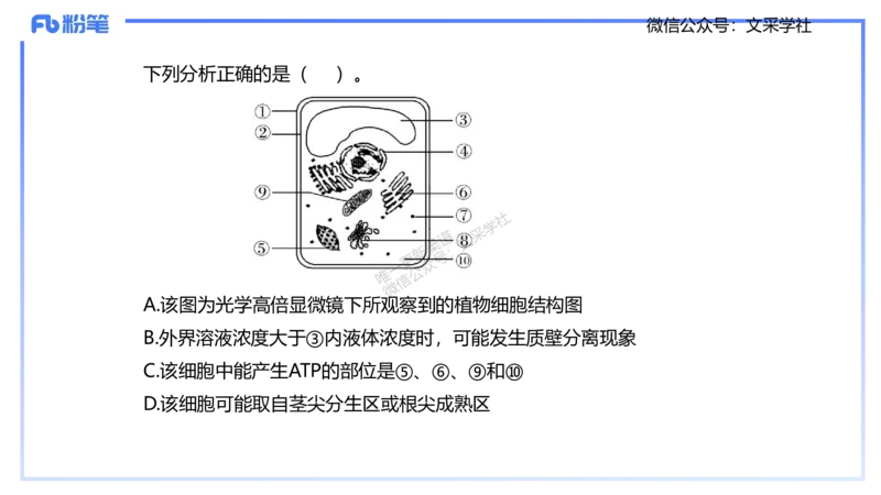 理论精讲04-细胞生物学1-拾光_4-教培资料-26年最新资料-同步更新_初中高中教资_03科三专项（进去保存报考的学科即可）_01科目三FB网课、三色速记手册、知识点导图等推荐_初中