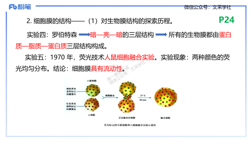 理论精讲04-细胞生物学1-拾光_4-教培资料-26年最新资料-同步更新_初中高中教资_03科三专项（进去保存报考的学科即可）_01科目三FB网课、三色速记手册、知识点导图等推荐_初中