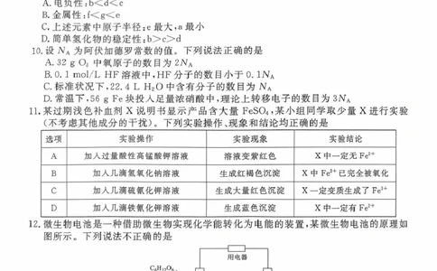 2026届广东湛江高三10月调研化学试题_251104广东省湛江市2026届高三普通高考10月调研测试（全科）_广东省湛江市2026届高三普通高考10月调研测试化学试题+答案