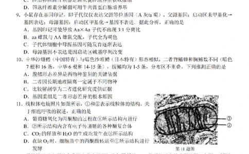 2025学年第一学期浙东北县域名校发展联盟（ZDB）11月诊断测试生物_251108浙江省2025学年第一学期浙东北县域名校发展联盟（ZDB）11月诊断测试（全科）