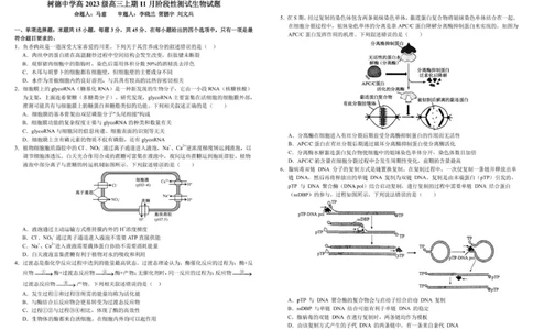树德中学高2023级高三上学期11月阶段测试生物_251125四川省成都市树德中学高2023级高三上学期11月阶段测试（全科）