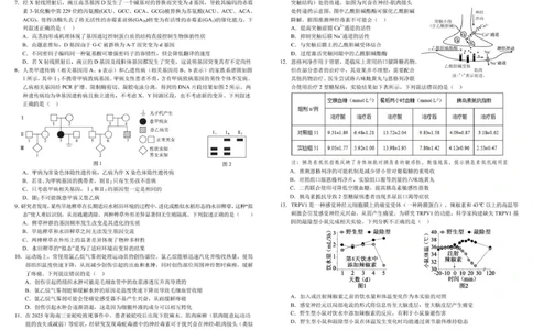 树德中学高2023级高三上学期11月阶段测试生物_251125四川省成都市树德中学高2023级高三上学期11月阶段测试（全科）