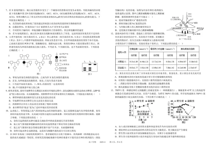 树德中学高2023级高三上学期11月阶段测试生物_251125四川省成都市树德中学高2023级高三上学期11月阶段测试（全科）
