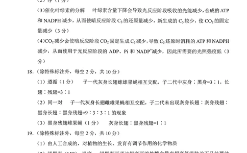 云南师大附中2026届高考适应性月考卷（五）生物答案_2025年12月_251202云南师大附中2026届高考适应性月考卷（五）（全科）_云南师大附中2026届高考适应性月考卷（五）生物