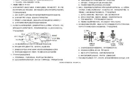 宁夏回族自治区银川一中2025-2026学年高三上学期第三次月考生物试卷（含答案）_251101宁夏回族自治区银川一中2026届高三年级第三次月考（全科）