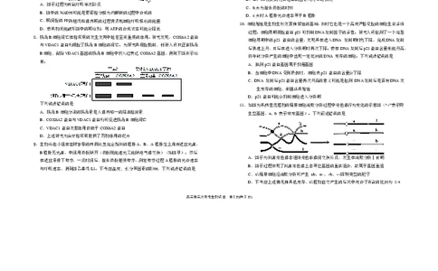 宁夏回族自治区银川一中2025-2026学年高三上学期第三次月考生物试卷（含答案）_251101宁夏回族自治区银川一中2026届高三年级第三次月考（全科）