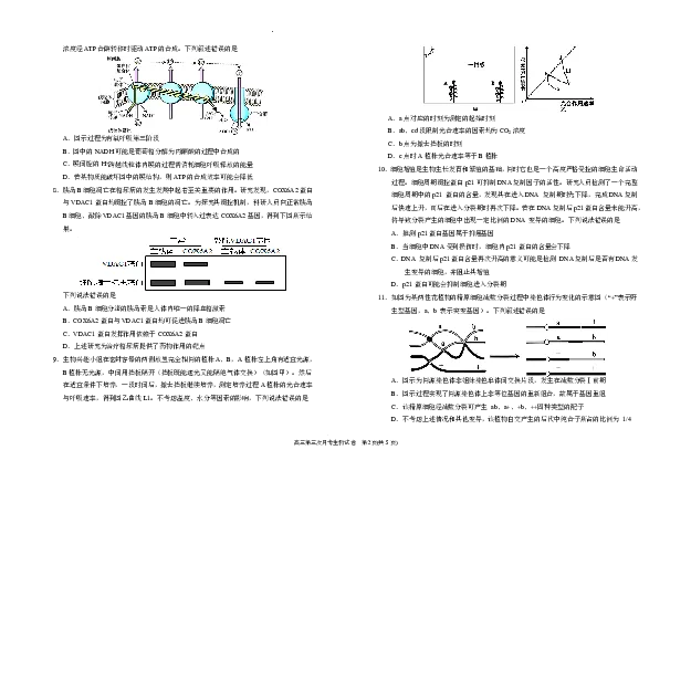 宁夏回族自治区银川一中2025-2026学年高三上学期第三次月考生物试卷（含答案）_251101宁夏回族自治区银川一中2026届高三年级第三次月考（全科）