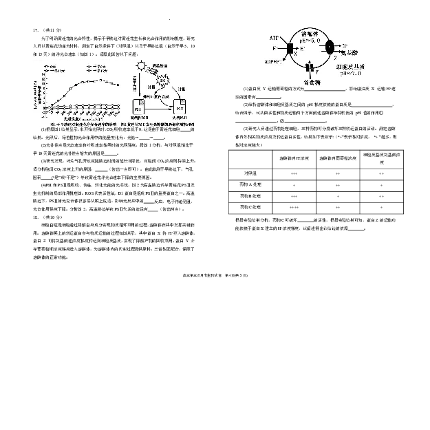 宁夏回族自治区银川一中2025-2026学年高三上学期第三次月考生物试卷（含答案）_251101宁夏回族自治区银川一中2026届高三年级第三次月考（全科）