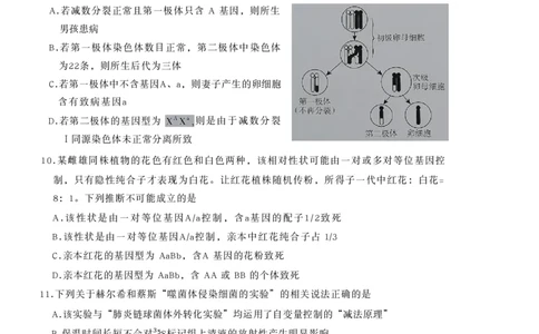 生物试卷-山东省临沂市（北京时代凤凰研究院）2026届高三年级教学质量检测考试（上学期期中）_251116山东省临沂市2026届高三11月教学质量检测（全科）